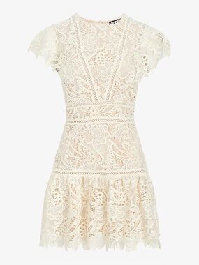 Express Lace mini Dress in Ivory
